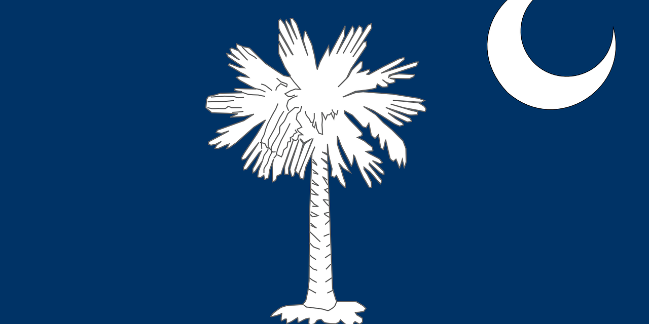 南卡罗来纳州旗